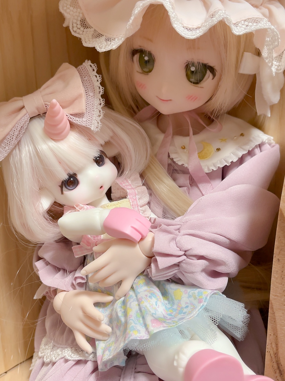 DDH22がパウダー(ドール)を抱っこしている図